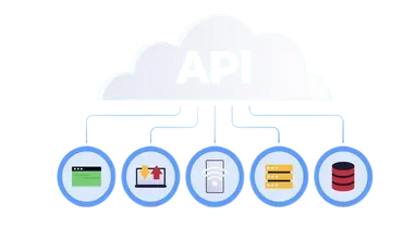 api